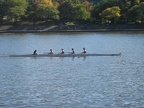 picture 011